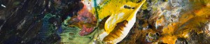 Paints