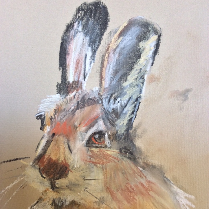 Julie Campbell